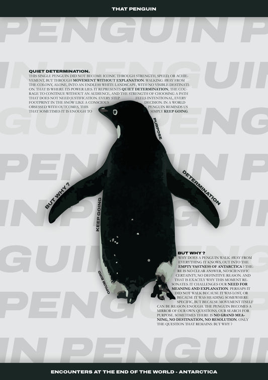 Penguin - But why?